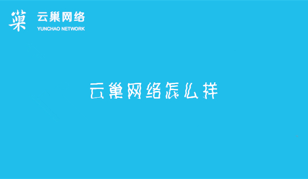 东莞市云巢信息技术有限公司怎么样